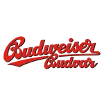 Budweiser Bier Angebot bei NETTO Scottie