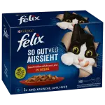 Felix – NETTO Scottie
