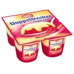 Müller Doppeldecker