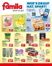 Famila Prospekt Cover