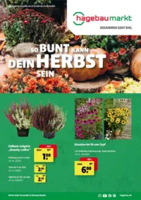 Hagebaumarkt Prospekt Cover